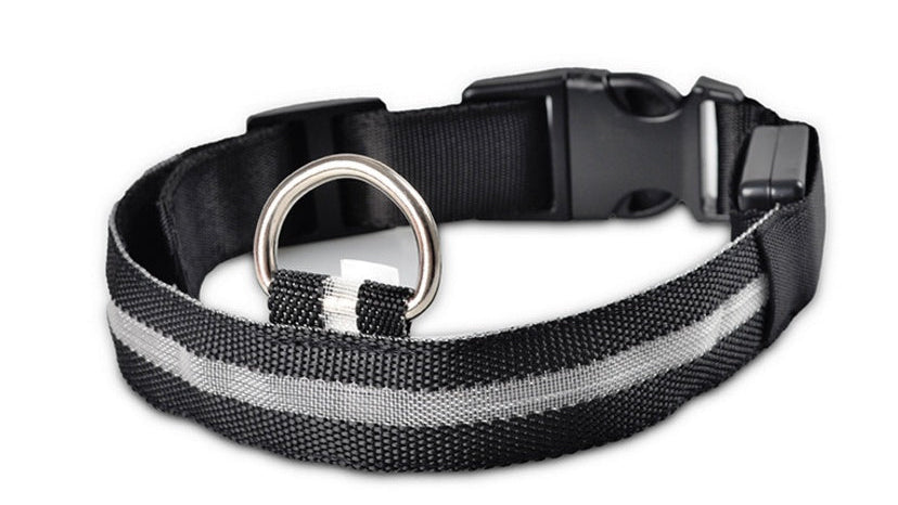 Adjustable LED Dog Collar – Bright Glowing Pet Collar for Night Walk Safety & Visibility