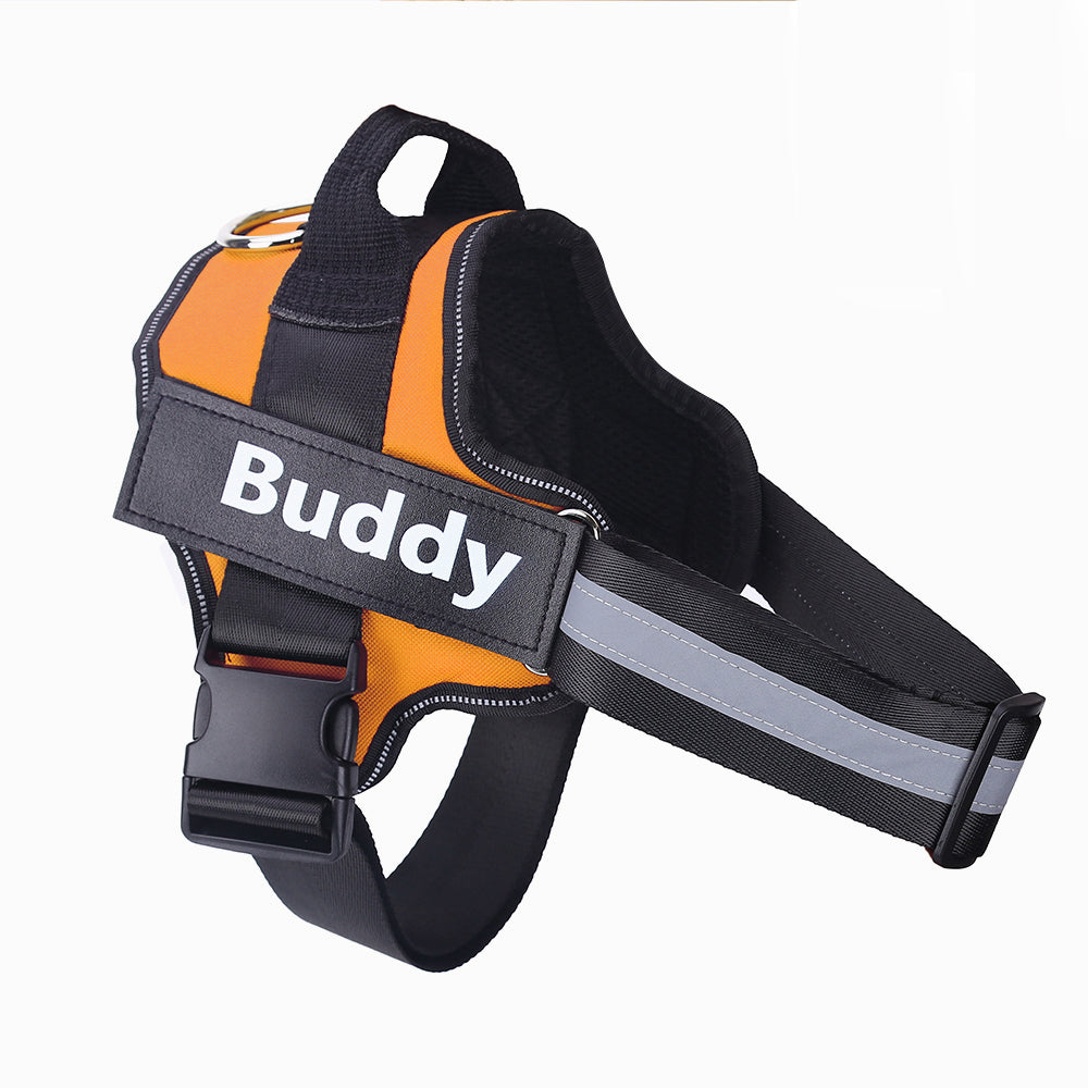 Custom Dog Harness No Pull – Adjustable Training Harness