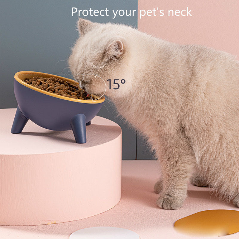 Elevated Cat & Dog Bowl with Stand