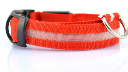 LED Dog Collar for Night Safety | USB Rechargeable Glow in Dark Pet Collar