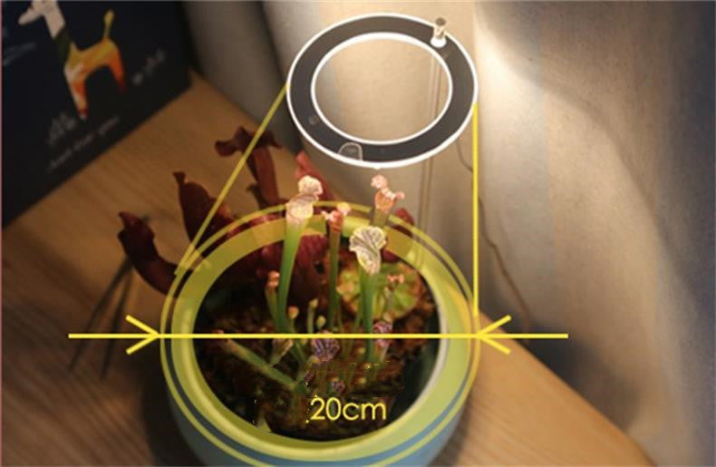 Portable LED Grow Lamp for Plants – Full Spectrum Indoor Plant Light