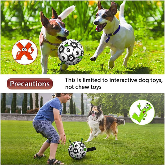 Interactive Dog Fetch Ball – Tough Soccer Toy for Training, Exercise & Outdoor Fun