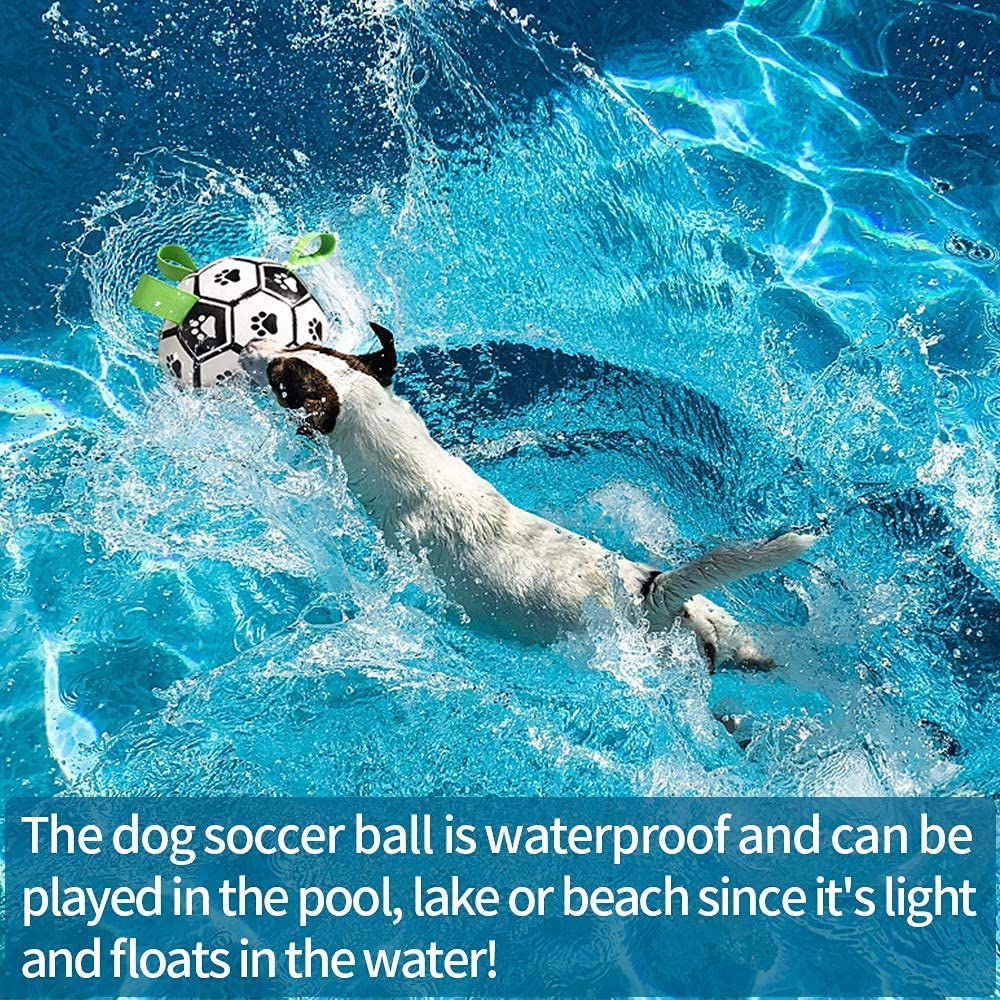 Interactive Dog Fetch Ball – Tough Soccer Toy for Training, Exercise & Outdoor Fun
