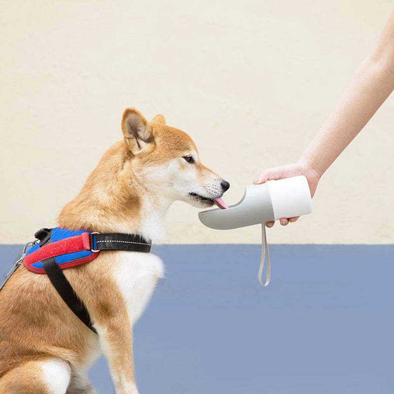 Pet Travel Water Bottle – Portable, Splash-Proof Hydration On-the-Go