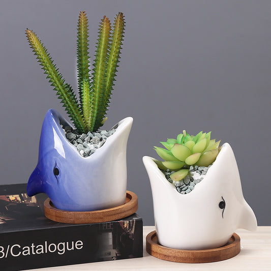 Succulent Pot Cartoon Ceramic Planter