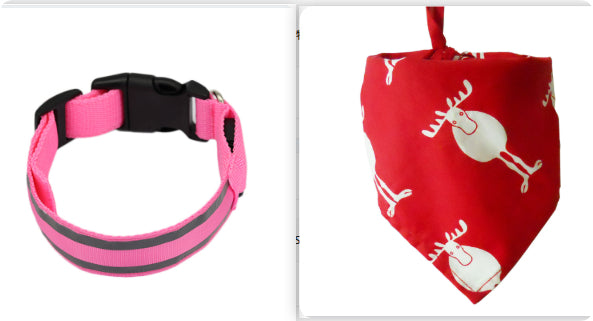 Anti-Lost LED Dog Collar | Luminous Night Safety Collar for Dogs