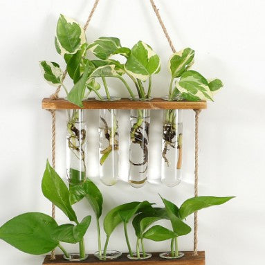 Hanging Glass Plant Propagator – Modern Wall Planter for Home & Office Decor