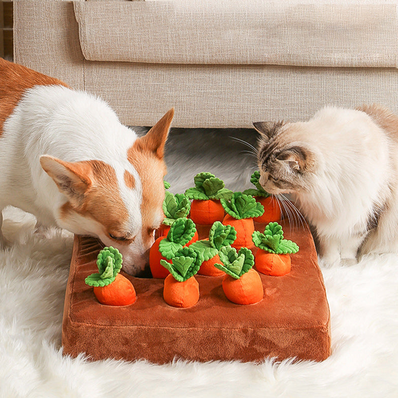 Interactive Carrot Dog Toy