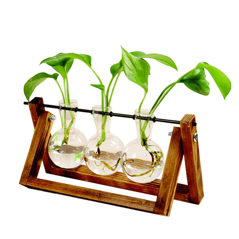 Hydroponic Glass Vase with Wooden Stand – Modern Indoor Plant Propagation Station Home Decor