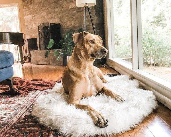 Comfort Dog Mat – Plush Pet Bed for Warm, Cozy & Relaxing Sleep