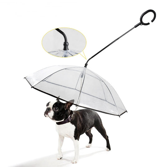 Pet Rain Umbrella – Transparent Dog Umbrella for Walking