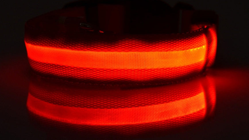 Adjustable LED Dog Collar – Bright Glowing Pet Collar for Night Walk Safety & Visibility