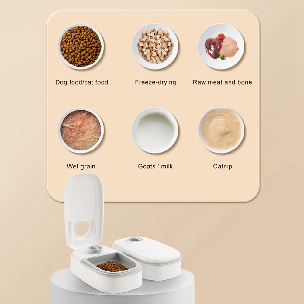 Smart Timed Pet Feeder – Automatic Cat & Dog Food Dispenser with Stainless Steel Bowl
