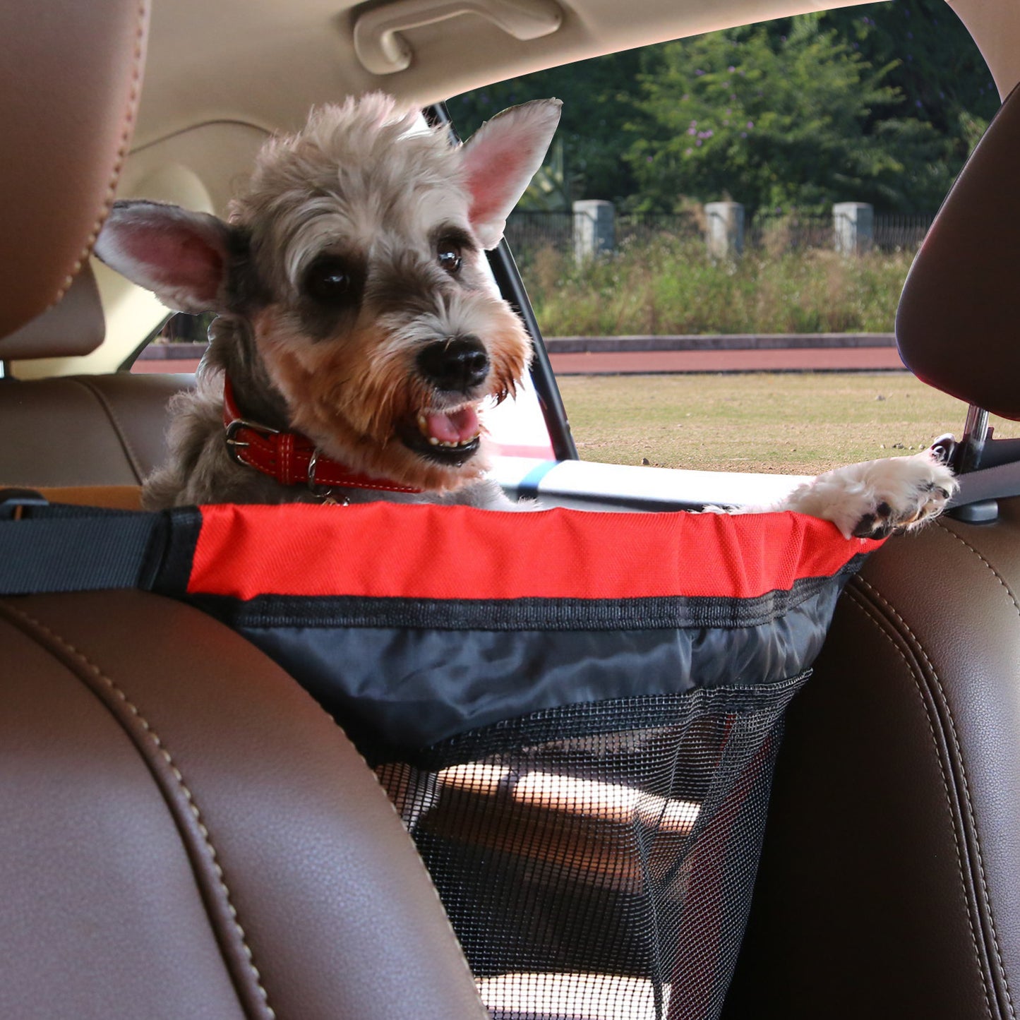 Back Seat Dog Barrier – Protect Pets During Car Rides