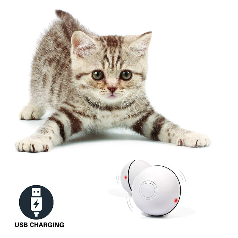 Interactive Rolling Cat Toy Ball – LED Laser Pet Toy for Endless Play & Exercise