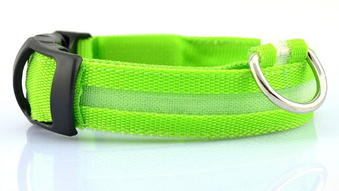 LED Dog Collar for Night Safety | USB Rechargeable Glow in Dark Pet Collar