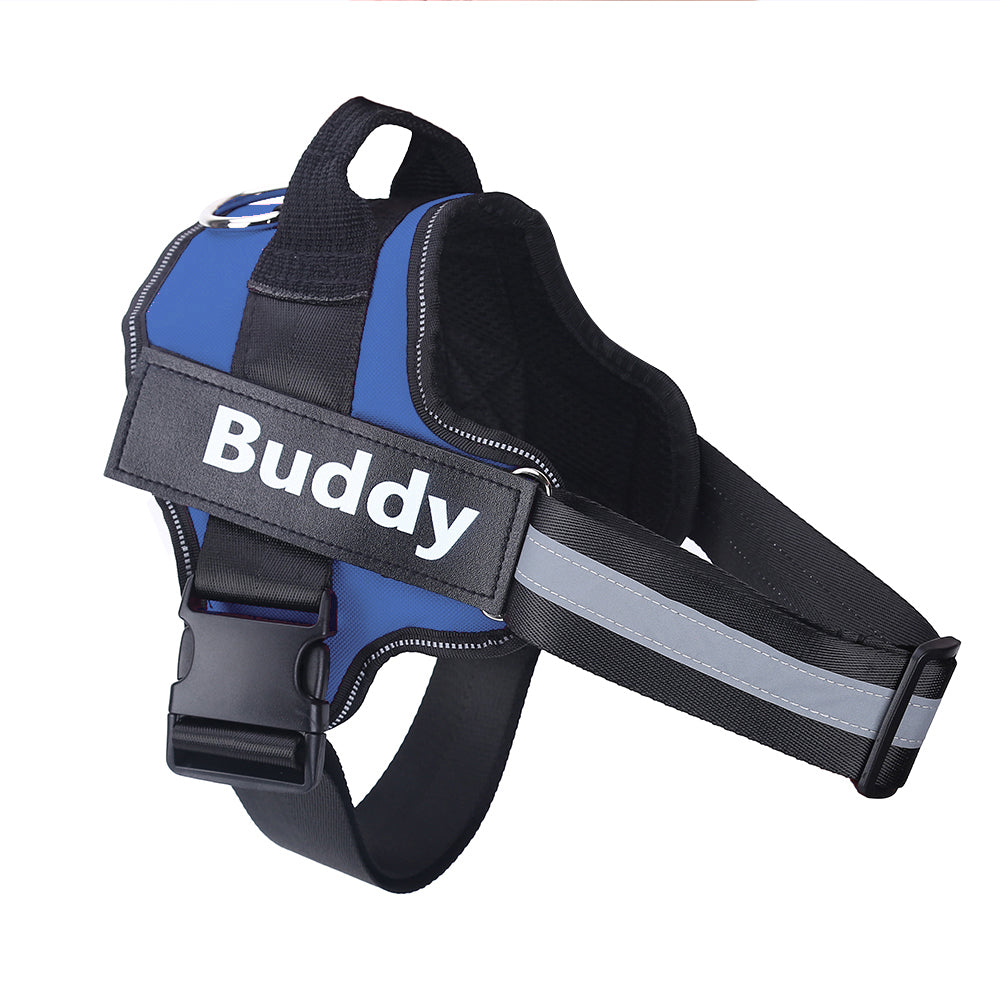 Custom Dog Harness No Pull – Adjustable Training Harness