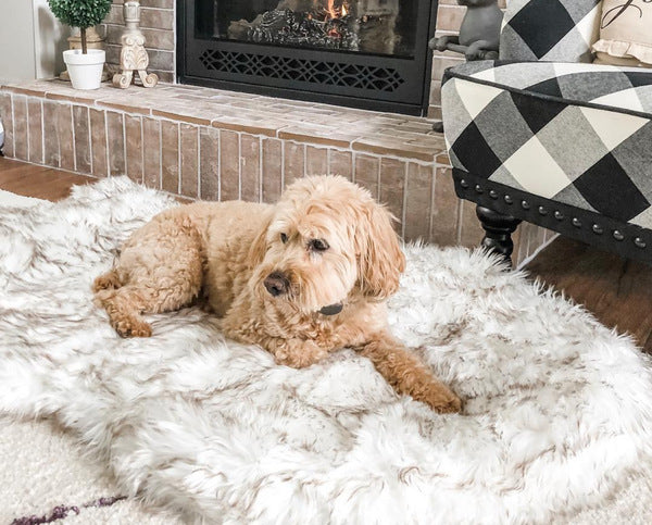 Comfort Dog Mat – Plush Pet Bed for Warm, Cozy & Relaxing Sleep