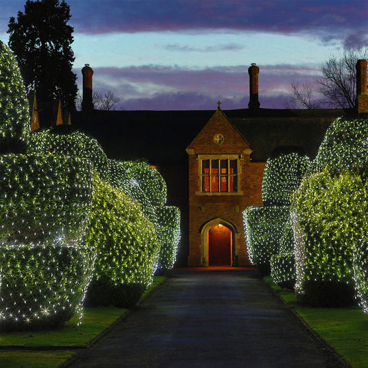 Christmas LED Net Lights – Outdoor Waterproof Fishnet String Lights for Holiday Decor