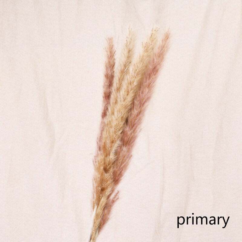 Dried Reed Flower Home Decor – Natural Boho Vase Arrangement for Living Room Styling