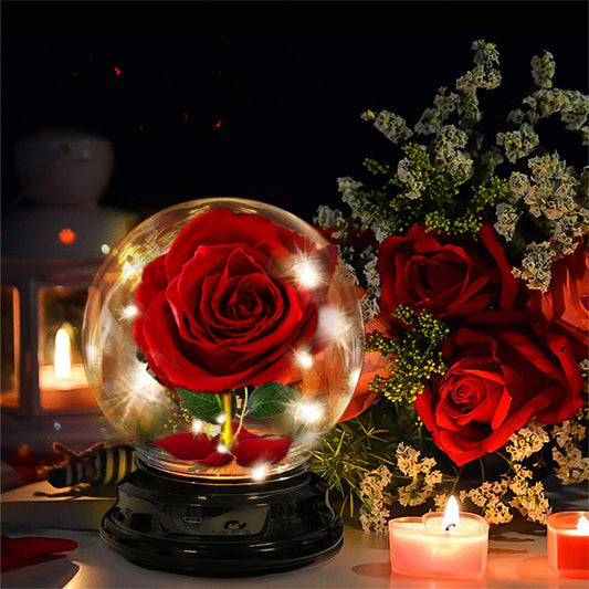 Elegant Forever Preserved Rose Gift for Mother’s Day – Real Dried Flower