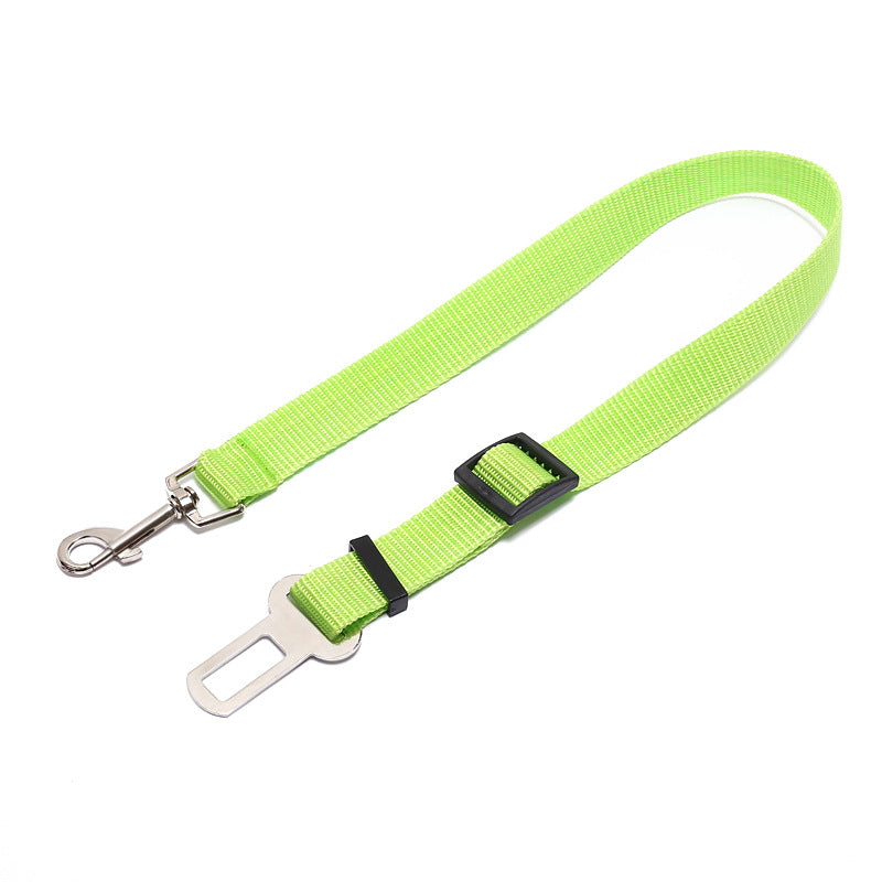 Heavy Duty Dog Leash – Durable No-Pull Training Lead for Small to Large Dogs