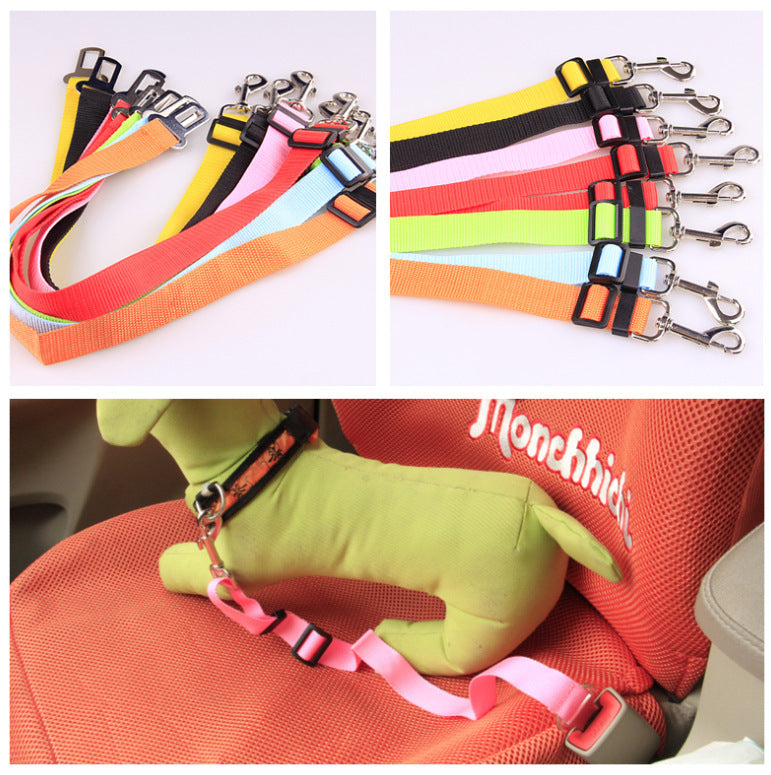 Heavy Duty Dog Leash – Durable No-Pull Training Lead for Small to Large Dogs