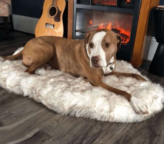 Comfort Dog Mat – Plush Pet Bed for Warm, Cozy & Relaxing Sleep