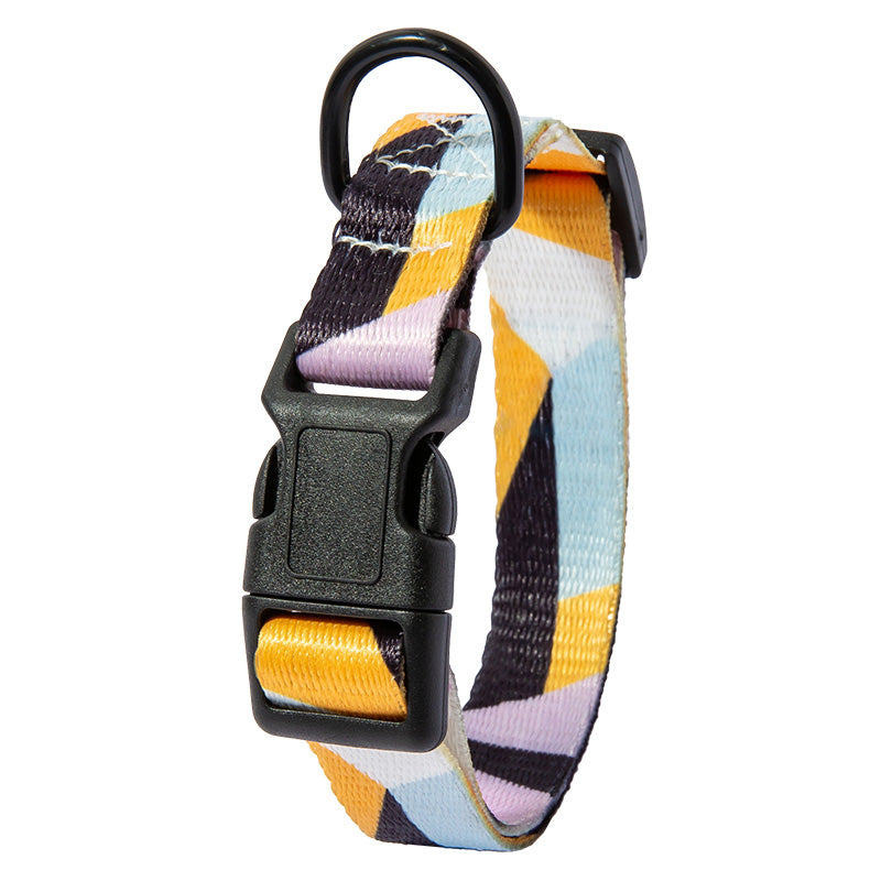 Heavy Duty Dog Collar and Leash Set Pet Walking Control Training Collar Lead