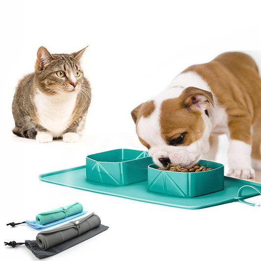 Silicone Folding Pet Bowl – Compact Travel Dog Bowl for Food & Water