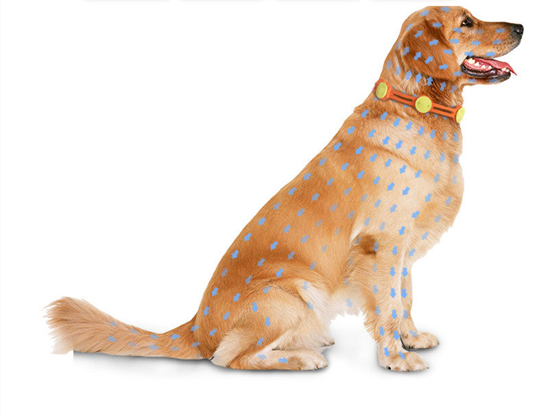 Natural Flea & Tick Collar for Dogs & Cats – Adjustable Long-Lasting Pet Insect Repellent