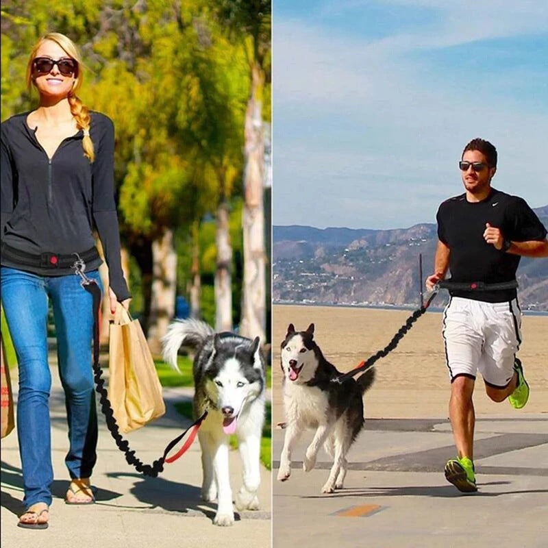 Dog Harness Collar Leash Set Adjustable No Pull Pet Jogging Training Walking System