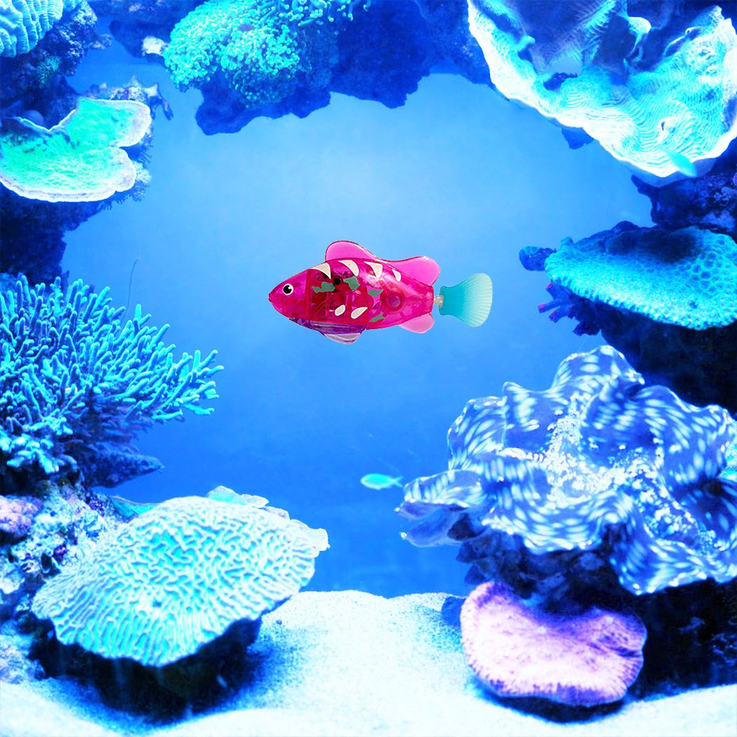 Electronic Cat Fish Toy – LED Light Interactive Play for Happy Cats