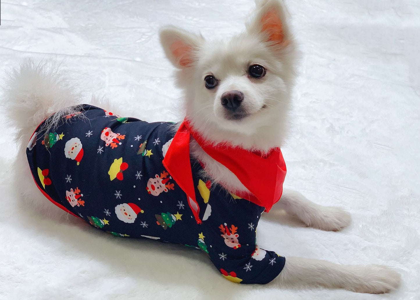 Matching Family Holiday Pajamas – Cozy Xmas Sleepwear for All