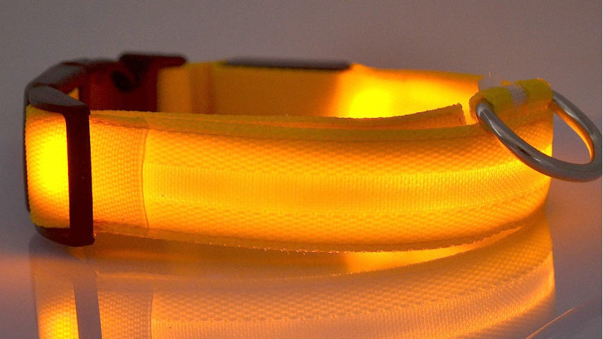 Adjustable LED Dog Collar – Bright Glowing Pet Collar for Night Walk Safety & Visibility