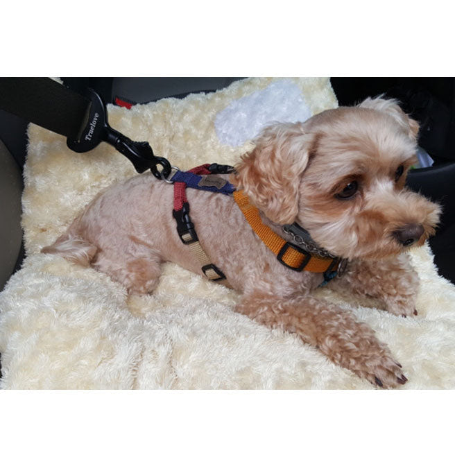 Pet Car Safety Belt Harness – Dog Cat Travel Buckle Clip Holder