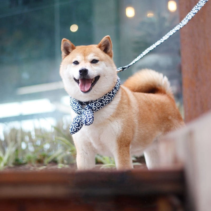 Japanese-Inspired Dog Collar – Cozy Stylish Pet Collar for Puppies & Cats