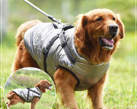 Warm Dog Coat with Harness – Waterproof Winter Jacket for All Dog Sizes