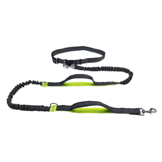 Dog Harness Collar Leash Set Adjustable No Pull Pet Jogging Training Walking System