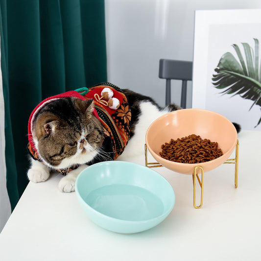 Non-Slip Pet Bowl for Dogs & Cats – Anti-Spill Feeding Bowl for Clean Mealtimes