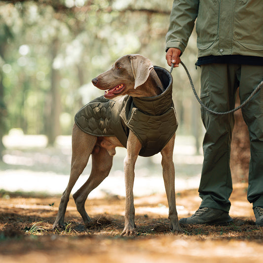 Outdoor Dog Winter Jacket Thickened Warm Coat – Waterproof Pet Clothing