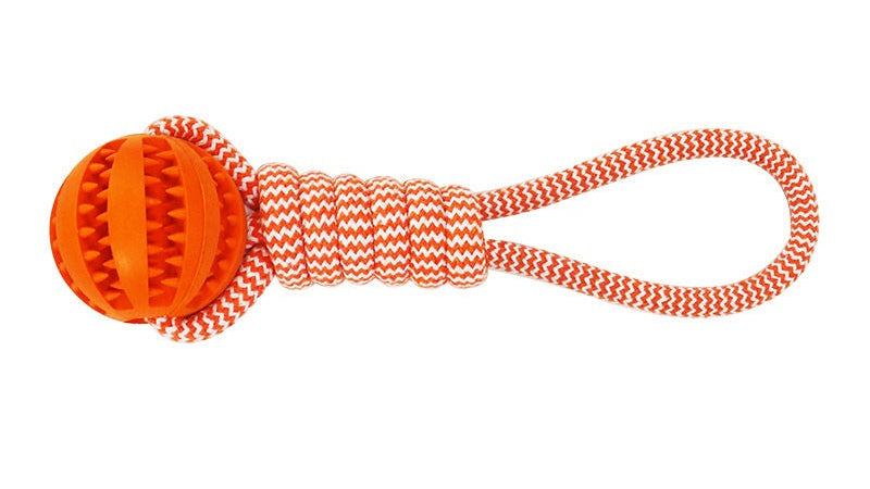 Pet Enrichment Toys – Chew & Treat Balls for Small Dogs and Puppies