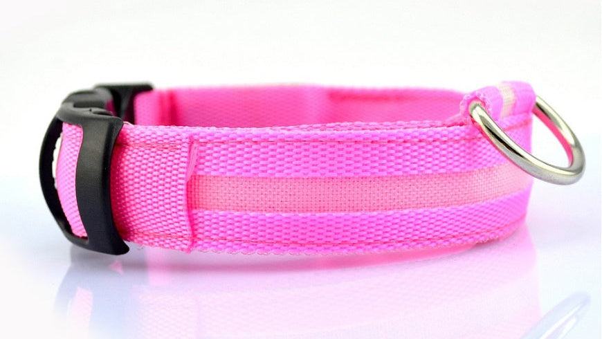 Adjustable LED Dog Collar – Bright Glowing Pet Collar for Night Walk Safety & Visibility