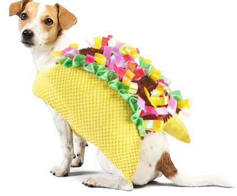 Cartoon Cowboy Dog Costume – Pet Cosplay & Photo Prop Outfit