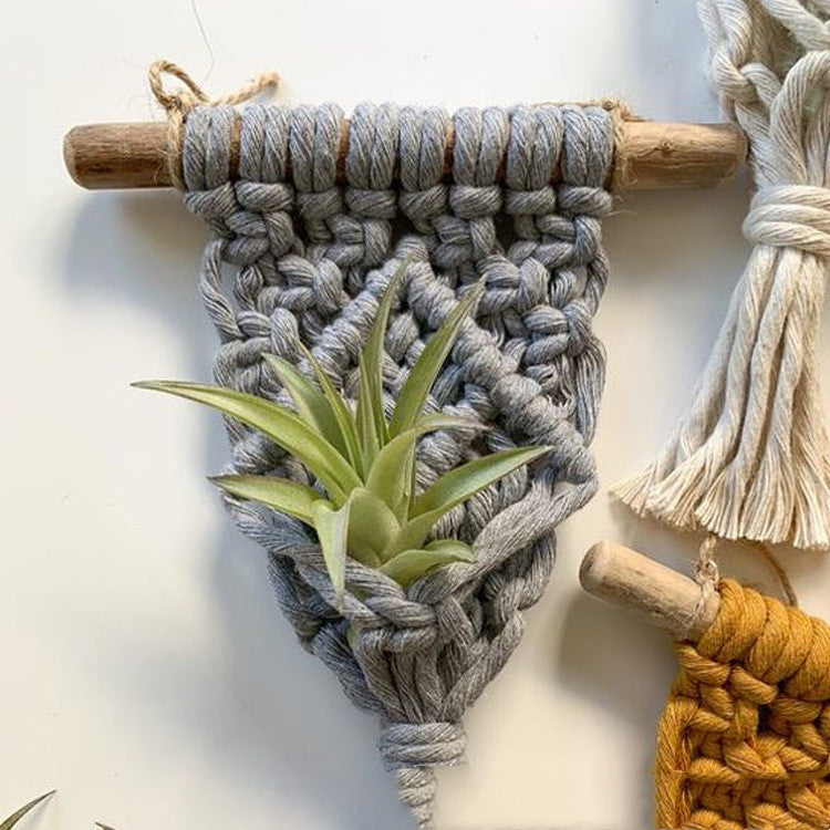 Cute Macramé Holders for Your Tiny Green Friends