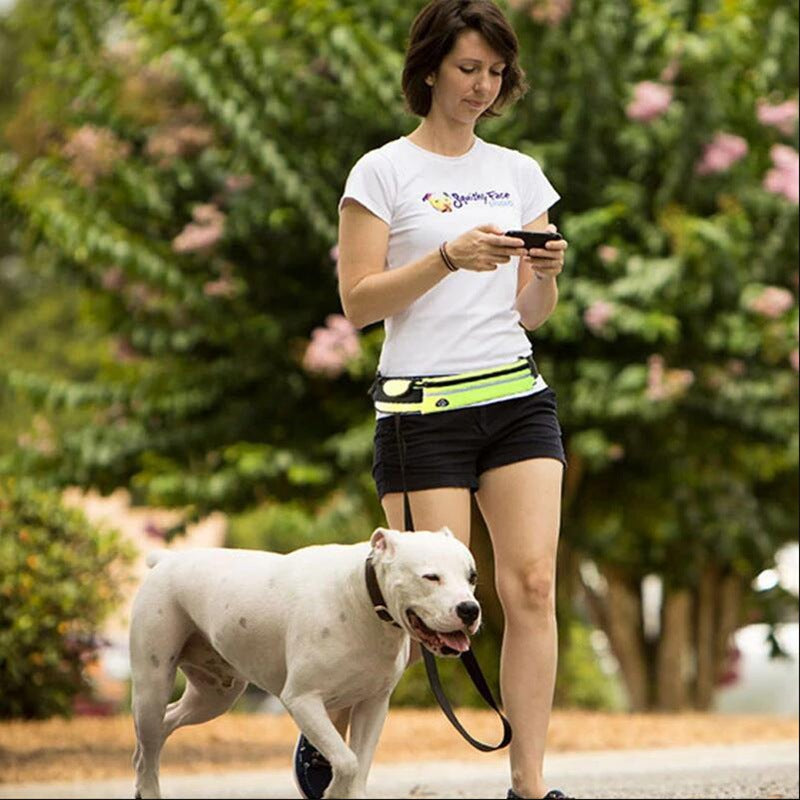 Hands Free Dog Running Leash – Shock Absorbing Waist Belt for Medium & Large Dogs