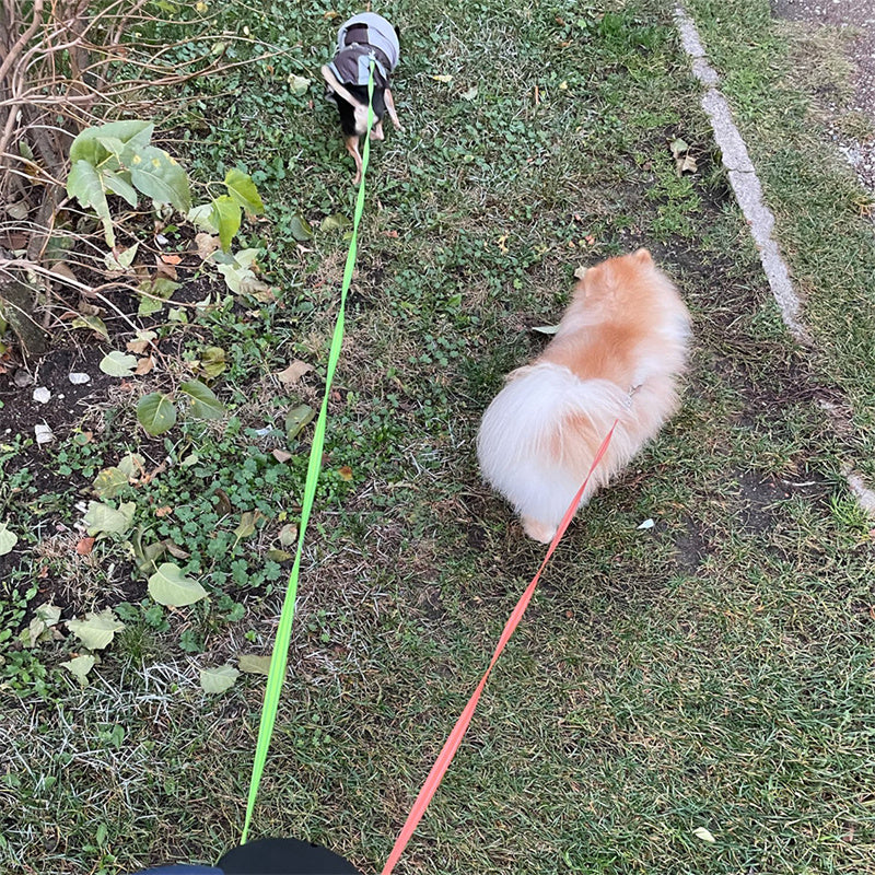 Dual Dog Walking Leash – Retractable 2 Dog Lead with Reflective Safety & Tangle-Free Control
