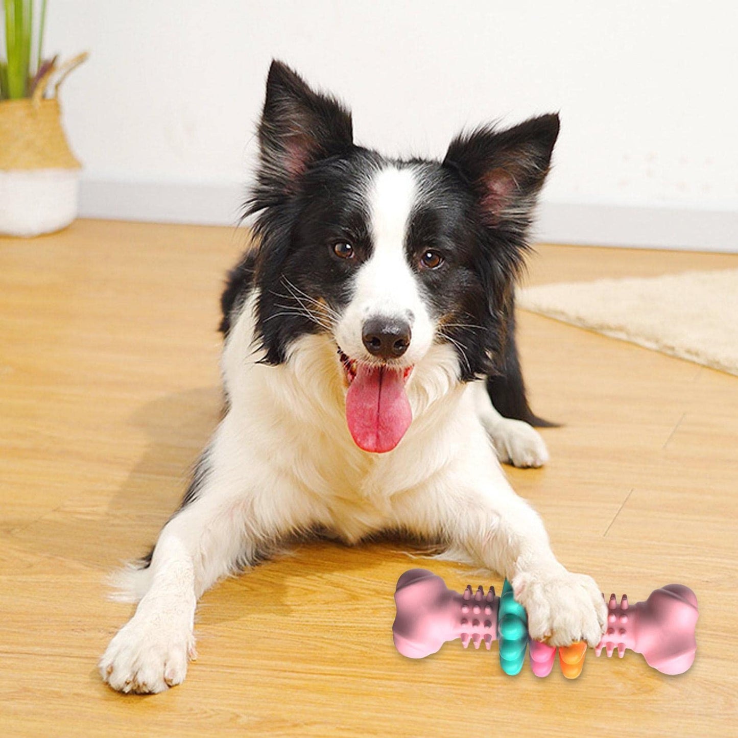 Power Chewer Dog Toy – Tough Indestructible Bone for Large & Medium Dogs