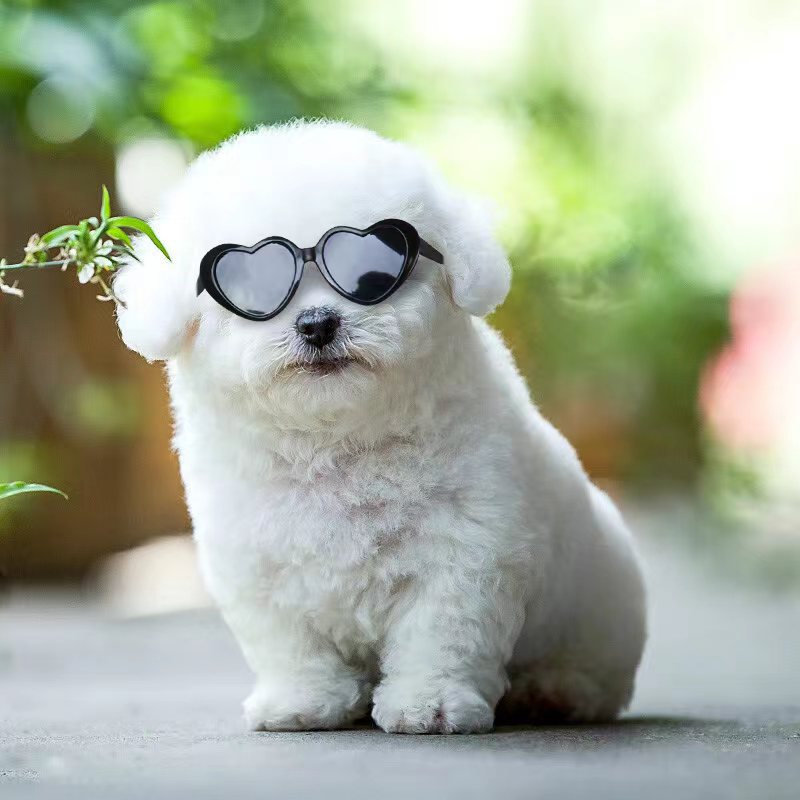 Pet Photo Props Sunglasses – Cute Doll Style Accessories for Dogs & Cats