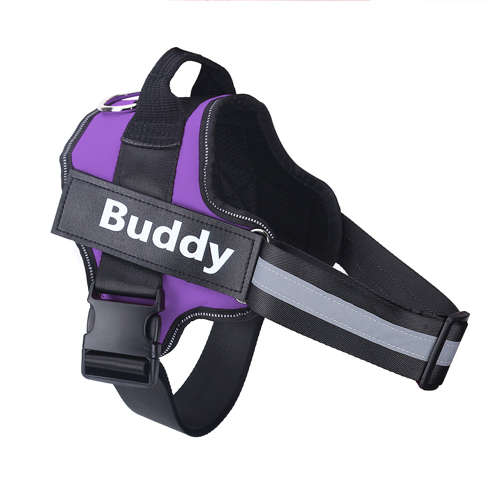 Custom Dog Harness No Pull – Adjustable Training Harness